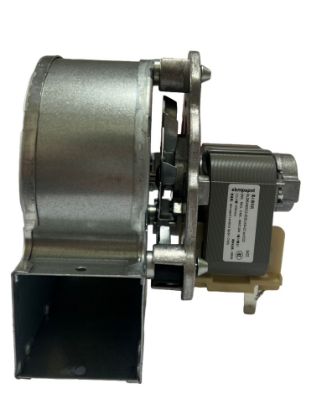 Picture of Fat chef holding cabinet Boiler fan motor (EBMpapst)